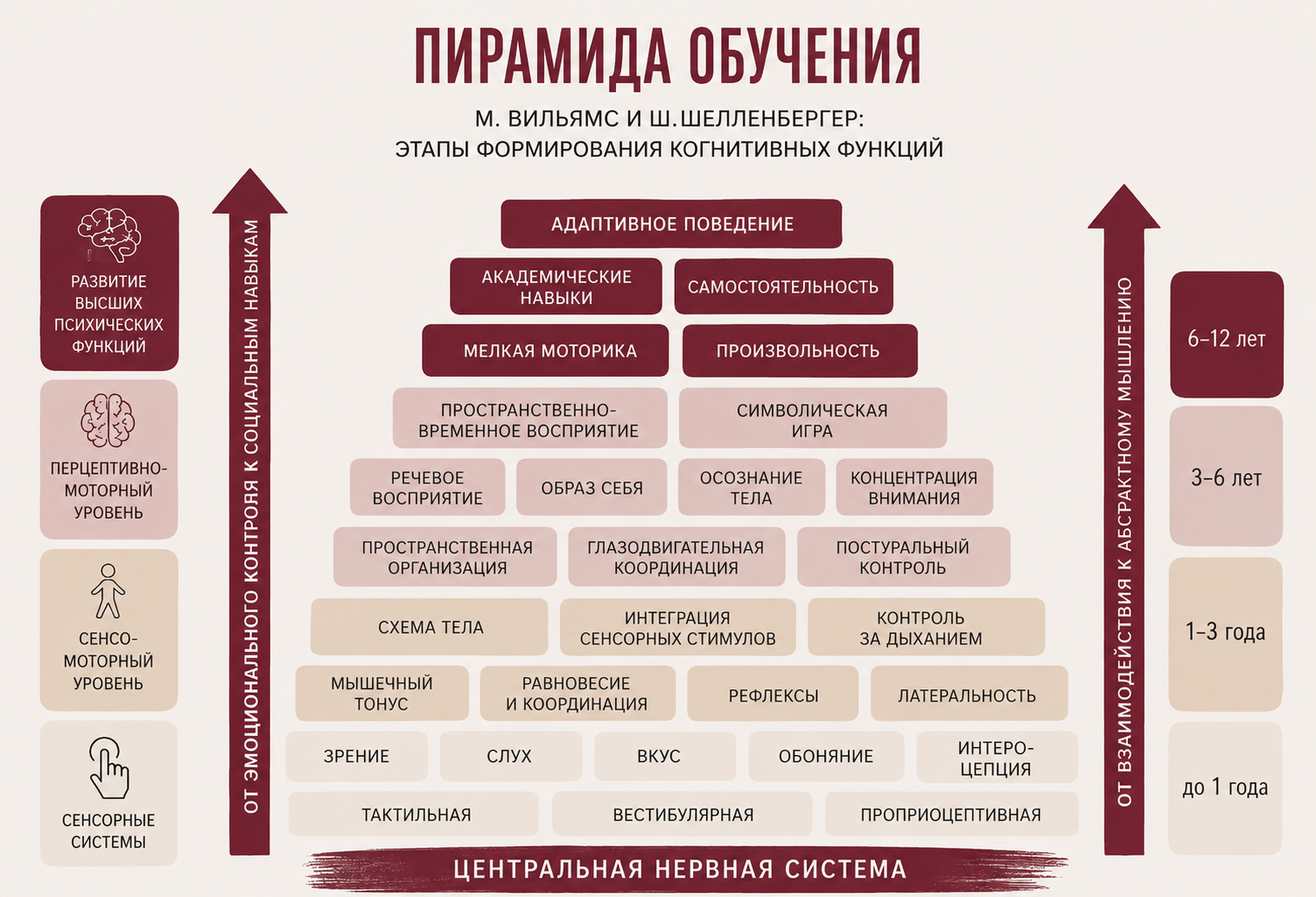 Пирамида обучения Вильямс и Шелленбергер